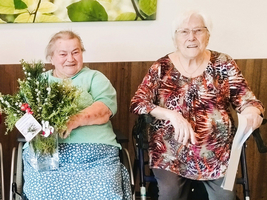Ältere Frauen gestalten mit Pflanzen und Zweigen ein kreatives Projekt.