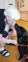 Eine ältere Frau kniet sich vor einen schwarzen Hund und lächelt ihm zu.
