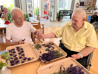 Zwei ältere Männer binden gemeinsam Lavendel in einem Gemeinschaftsraum.