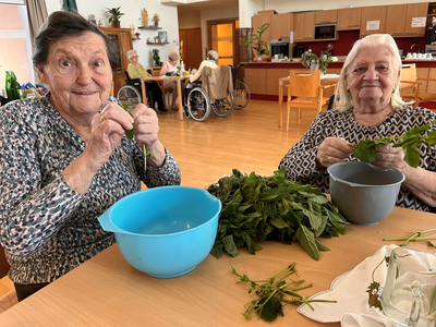 Zwei ältere Frauen entblättern Kräuter an einem Tisch in einem Gemeinschaftsraum.