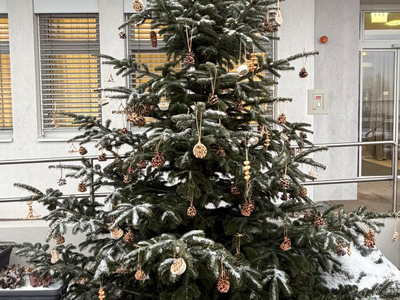 Ein geschmückter Weihnachtsbaum mit Tannenzapfen und Schneeschicht.