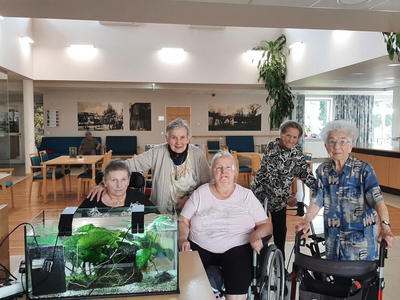 Fünf ältere Frauen bei einem Treffen in einem gemeinschaftlichen Raum.