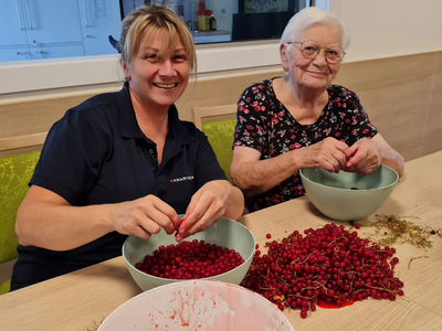 Zwei Frauen entstielen und sortieren rote Johannisbeeren am Tisch.