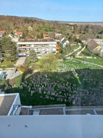 Blick auf einen alten Friedhof mit vielen Grabsteinen und umgebender Landschaft.
