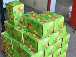 Ein Stapel grüner Kisten mit Äpfeln auf einer Palette.
