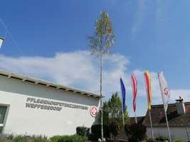 Gebäude des Pflegekompetenzzentrums Weppersdorf mit Fahnen und einem Baum.