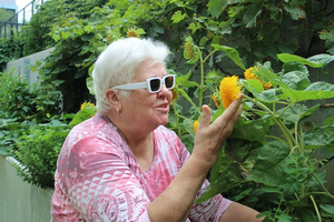 Eine ältere Frau betrachtet lächelnd Sonnenblumen im Garten.