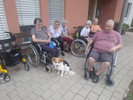 Eine Gruppe älterer Menschen sitzt auf einem Gehweg, einige in Rollstühlen. In der Mitte liegt ein kleiner Hund. Es sind sechs Frauen und ein Mann zu sehen, die entspannt miteinander interagieren. Der Hintergrund zeigt eine Wand mit Fensterrahmen.