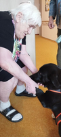 Eine ältere Frau kniet sich zu einem schwarzen Hund und streichelt ihn.