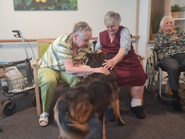 Eine Person mit buntem Hemd streichelt einen Hund, während eine andere Person in einem roten Kleid ebenfalls mit dem Hund interagiert. Im Hintergrund sind weitere Personen in Rollstühlen sowie eine Uhr und ein Blumenbild zu sehen.