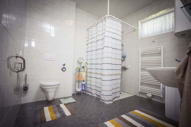 Ein modernes Badezimmer mit Dusche, WC und Waschbecken.