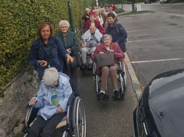 Eine Gruppe älterer Menschen in Rollstühlen und Gehenden auf einem Gehweg.