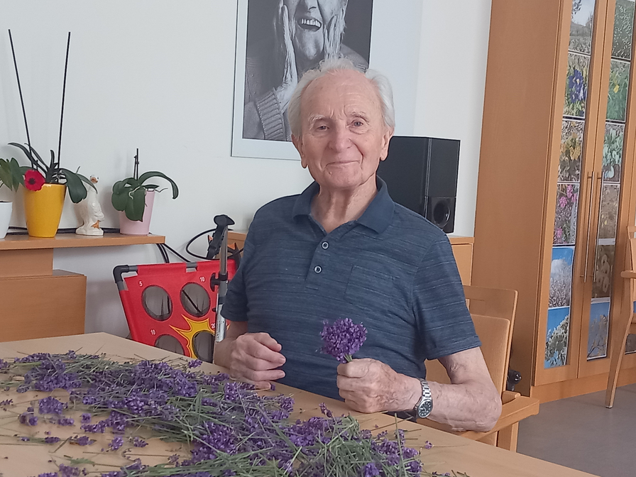 Ein älterer Mann sitzt an einem Tisch und hält einen Lavendelstrauß in der Hand. Um ihn herum liegen viele Lavendelblüten. Im Hintergrund sind Pflanzen und ein lächelndes Porträt einer älteren Frau an der Wand zu sehen.
