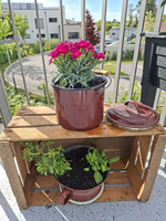 Ein Holzkasten mit zwei Blumentöpfen. Oben befindet sich ein roter Topf mit rosa Blüten, darunter ein weiterer Topf mit grünen Pflanzen. Im Hintergrund sind weitere Gebäude und eine Straße sichtbar.