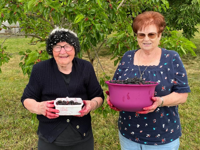 Zwei ältere Frauen halten gefüllte Behälter mit Beeren vor einem Baum.