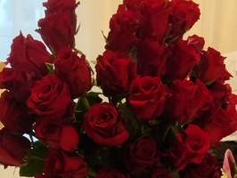 Ein großer Strauß roter Rosen in einer weißen Vase auf einem Tisch.