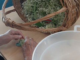 Eine Person pflückt Blumen aus einem Korb und legt sie in eine Schüssel.
