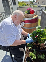 Ein älterer Mann sitzt auf einem Stuhl auf einem Balkon und pflanzt Blumen in einen Blumenkübel. Er trägt Handschuhe und hat eine konzentrierte Miene. Im Hintergrund sind eine Holzfass-Dekoration und weitere Pflanzen zu sehen. Die Sonne scheint.