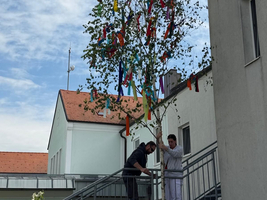 Zwei Personen stehen auf einer Treppe und schmücken einen kleinen Baum mit bunten Bändern. Im Hintergrund sind Gebäude und ein blauer Himmel zu sehen.