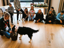 Eine Frau zeigt einem Hund einen Korb mit Spielzeug, während Kinder zuschauen.