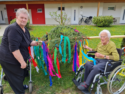 Auch dieses Jahr erhielt das Pflegekompetenzzentrum Olbendorf zur Freude seiner Bewohner:innen einen prächtigen Maibaum von seiner Gemeinde.