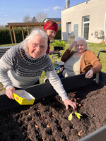 Drei ältere Frauen im Garten, eine pflanzt in einem Hochbeet, während die anderen zuschauen. Es ist sonnig, und im Hintergrund ist ein modernes Gebäude sichtbar. Die Frauen tragen gemütliche Kleidung und scheinen Freude am Gärtnern zu haben.