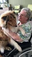 Eine ältere Frau in einem Rollstuhl hält einen Collie liebevoll in ihren Armen.