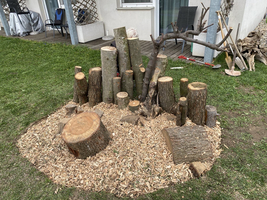 Haufen von Baumstümpfen umgeben von Rindenmulch im Garten.