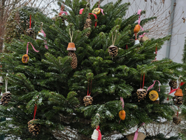 Weihnachtsbaum geschmückt mit handgemachten Ornamenten und Tannenzapfen.