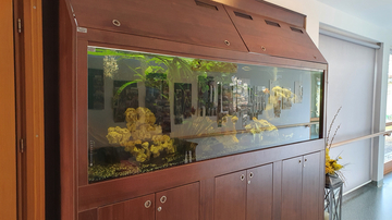 Aquarium im Haus Strem
