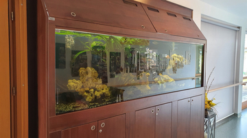 Aquarium im Haus Strem