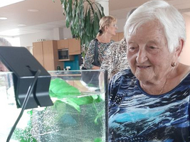 Eine ältere Frau betrachtet interessiert ein Aquarium mit Pflanzen und Steinen.