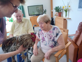 Eine Person hält ein Huhn, während zwei Senioren aufmerksam zuschauen.