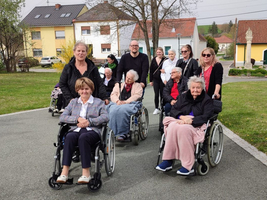 Gruppe von Senioren in Rollstühlen auf einem Spaziergang in der Natur.