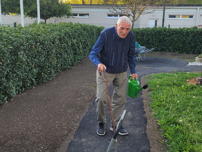 Ein älterer Mann gießt Pflanzen mit einer Gießkanne auf einem gepflasterten Weg.