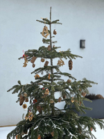 Ein geschmückter Tannenbaum mit natürlichen Ornamenten und Schneedecke am Boden.