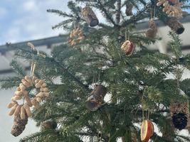 Ein geschmückter Tannenbaum mit natürlichem Weihnachtsschmuck aus Zapfen und Trockenfrüchten.