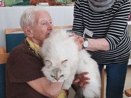 Zwei ältere Frauen halten eine weiße Katze und lachen gemeinsam.