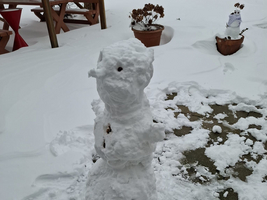 Ein Schneemann steht auf einem schneebedeckten Boden in einem Garten.